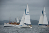 robo gbr8683t chico whyw17 fri gjmc 9226